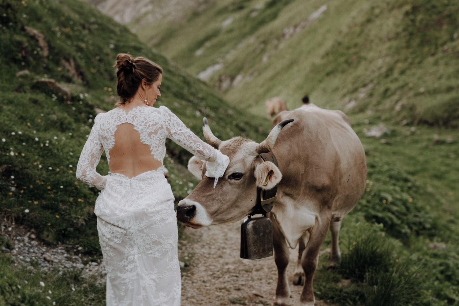 Braut streichelt Kuh in den Schweizer Bergen Alpen